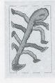 Thumbnail for version as of 14:55, 23 September 2026