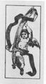 Thumbnail for version as of 07:02, 20 September 2026