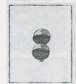 Thumbnail for version as of 15:23, 23 September 2026