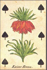 Spades-6 (French)