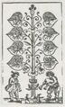 Thumbnail for version as of 16:58, 27 September 2026