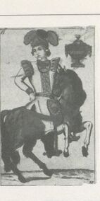 Cups-Cavalier (Spanish)