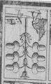 Thumbnail for version as of 19:14, 19 September 2026