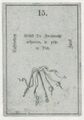 Thumbnail for version as of 20:41, 27 September 2026
