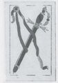 Thumbnail for version as of 14:53, 23 September 2026