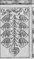 Thumbnail for version as of 19:11, 19 September 2026