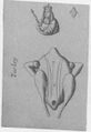 Thumbnail for version as of 21:38, 19 September 2026