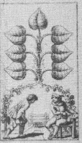 Leaves-7 (German)