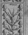 Thumbnail for version as of 00:39, 20 September 2026