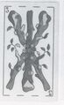 Thumbnail for version as of 14:55, 23 September 2026