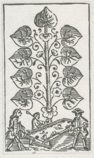 Datei:SPKW-Q29878-bnm-scan-s049r-z02s06-dt-gruen-9.jpg