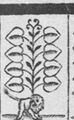 Thumbnail for version as of 19:53, 19 September 2026