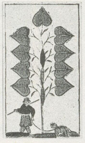 Datei:SPKW-Q29924-bnm-scan-s085r-z02s02-dt-gruen-9.jpg