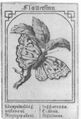 Thumbnail for version as of 18:05, 19 September 2026