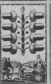 Acorns-8 (German)