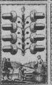 Thumbnail for version as of 05:23, 20 September 2026