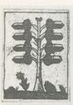 Thumbnail for version as of 17:48, 27 September 2026