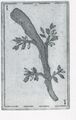 Thumbnail for version as of 15:02, 23 September 2026