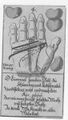 Thumbnail for version as of 02:46, 20 September 2026