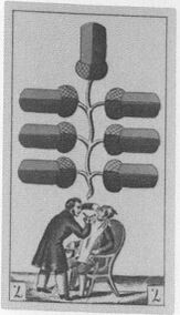 Acorns-7 (German)