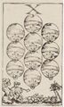 Thumbnail for version as of 08:30, 31 August 2026
