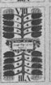Thumbnail for version as of 19:38, 19 September 2026