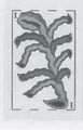 Thumbnail for version as of 14:58, 23 September 2026