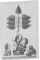 Thumbnail for version as of 02:59, 20 September 2026