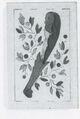 Thumbnail for version as of 15:03, 23 September 2026