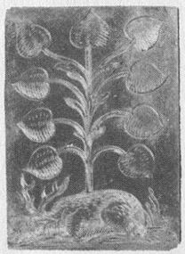 Leaves-9 (German)