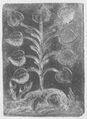 Thumbnail for version as of 03:54, 20 September 2026