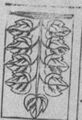 Thumbnail for version as of 05:13, 20 September 2026