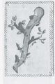 Thumbnail for version as of 15:00, 23 September 2026