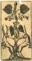 Thumbnail for version as of 17:34, 31 August 2026