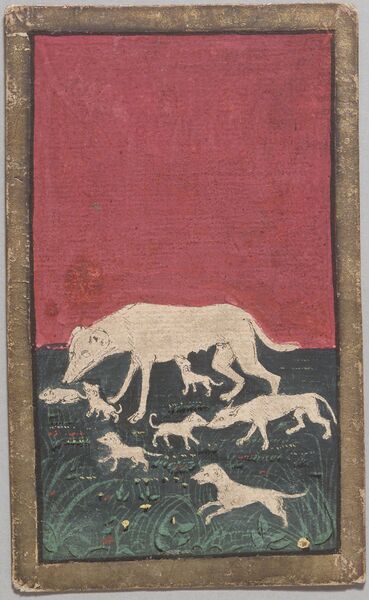 Datei:SPKW-Q12912-34-hunde-acht-einzelkarte.jpg