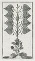 Thumbnail for version as of 18:09, 27 September 2026