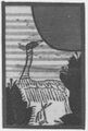Thumbnail for version as of 07:33, 20 September 2026