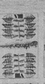 Leaves-8 (German)