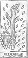 Thumbnail for version as of 17:36, 31 August 2026