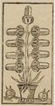 Thumbnail for version as of 08:46, 31 August 2026