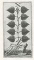 Thumbnail for version as of 15:27, 27 September 2026