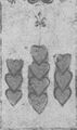 Thumbnail for version as of 05:03, 20 September 2026
