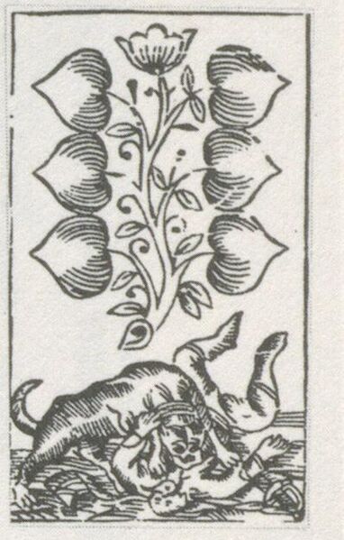 Datei:SPKW-Q29878-bnm-scan-s049r-z02s09-dt-gruen-6.jpg