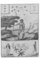 Thumbnail for version as of 22:50, 19 September 2026