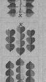 Thumbnail for version as of 05:17, 20 September 2026