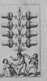 Acorns-8 (German)
