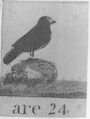 Thumbnail for version as of 21:13, 19 September 2026