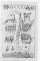 Thumbnail for version as of 06:51, 20 September 2026
