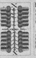 Thumbnail for version as of 19:39, 19 September 2026