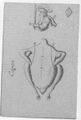 Thumbnail for version as of 21:38, 19 September 2026